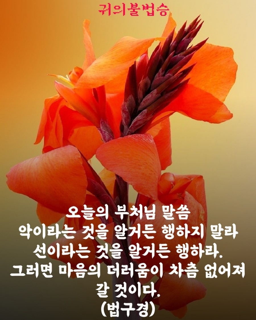 a599bddfba2c002fdafa281bfed2fe53_1788918561_5914.jpg