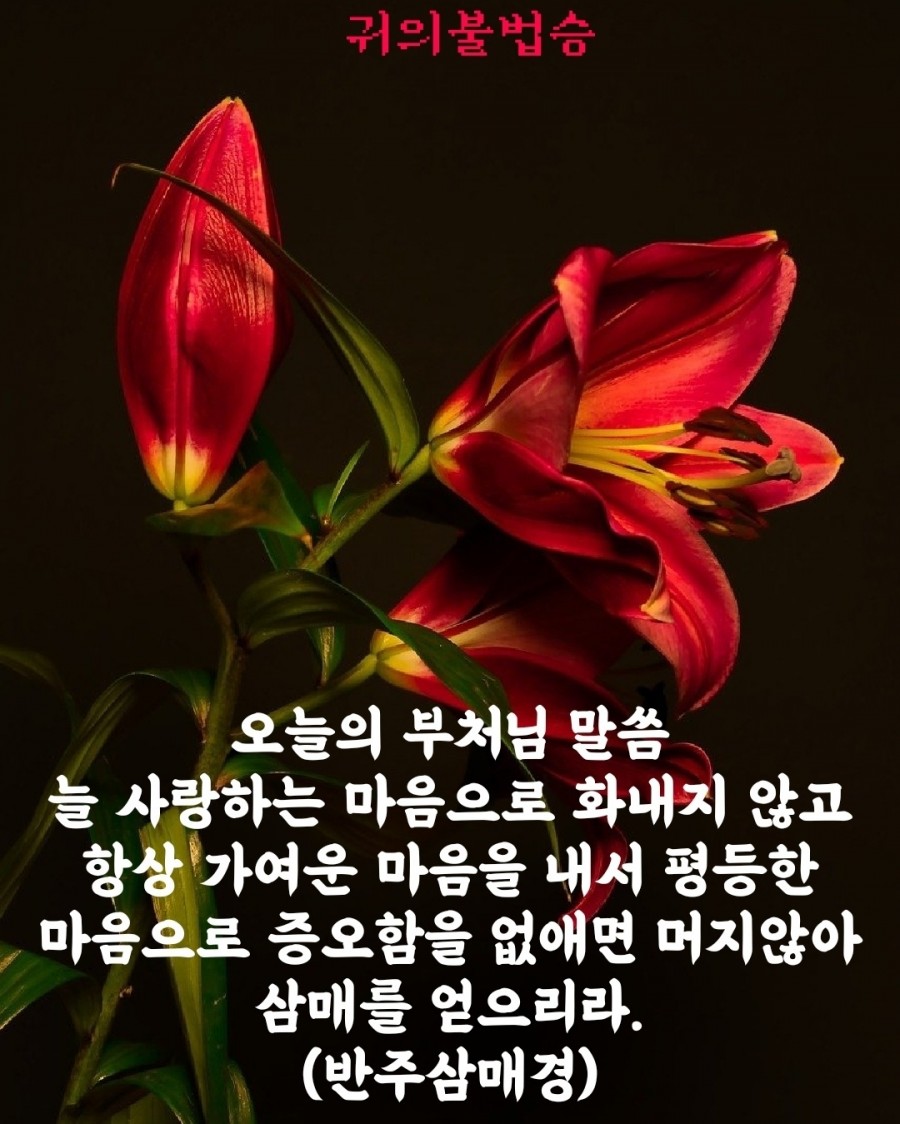 a599bddfba2c002fdafa281bfed2fe53_1788918561_9536.jpg